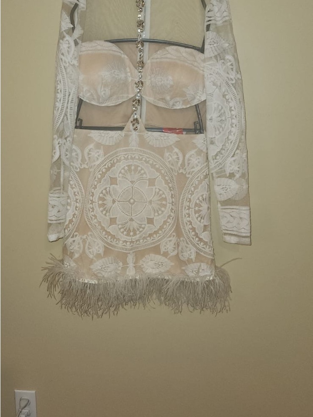 Luxe Cream and White Lace Embroidered Mini Dress with Feather Hem